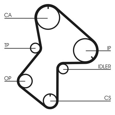 Timing Belt CONTINENTAL CTAM CT596