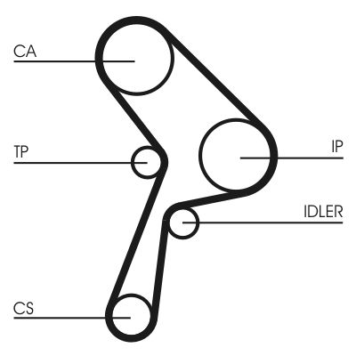 Timing Belt CONTINENTAL CTAM CT609