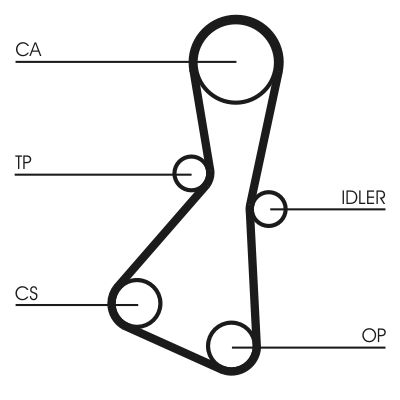CONTINENTAL CTAM CT614 Timing Belt