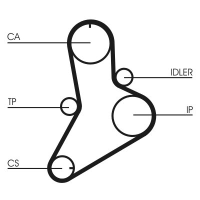 CONTINENTAL CTAM CT622 Timing Belt