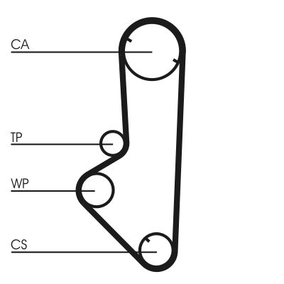 Timing Belt CONTINENTAL CTAM CT707