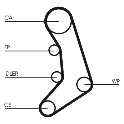 Timing Belt CONTINENTAL CTAM CT758