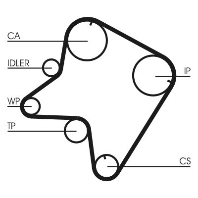 CONTINENTAL CTAM CT762 Timing Belt
