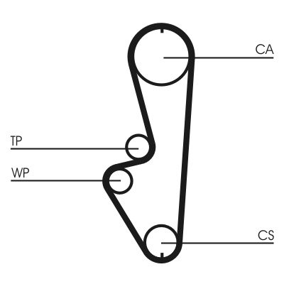 Timing Belt CONTINENTAL CTAM CT765