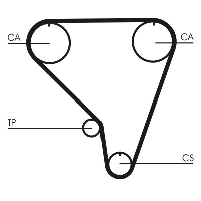 Timing Belt CONTINENTAL CTAM CT789