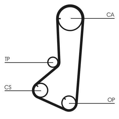 Timing Belt CONTINENTAL CTAM CT801