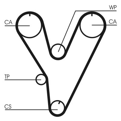 CONTINENTAL CTAM CT805 Timing Belt