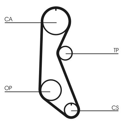 CONTINENTAL CTAM CT816 Timing Belt