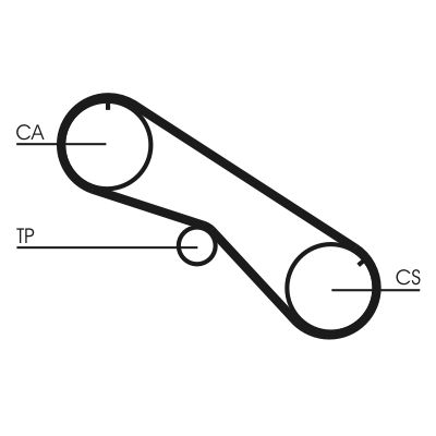 Timing Belt CONTINENTAL CTAM CT818