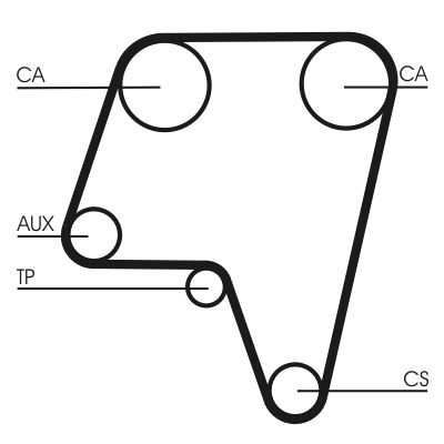 CONTINENTAL CTAM CT819 Timing Belt