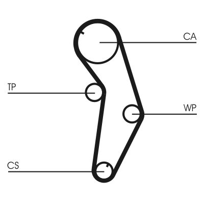 CONTINENTAL CTAM CT821 Timing Belt