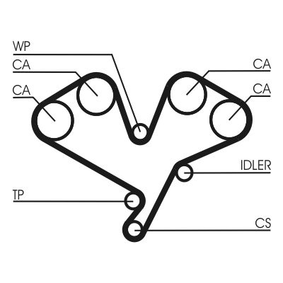 Timing Belt CONTINENTAL CTAM CT822
