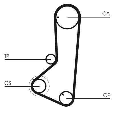 CONTINENTAL CTAM CT836 Timing Belt