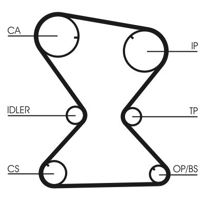 CONTINENTAL CTAM CT842 Timing Belt