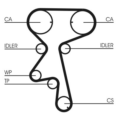 CONTINENTAL CTAM CT873WP4 Water Pump & Timing Belt Kit