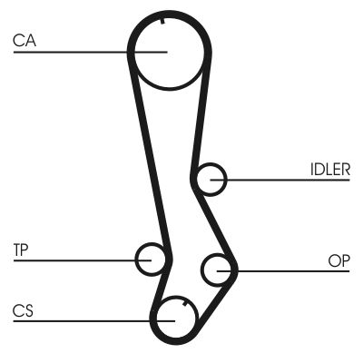 Timing Belt CONTINENTAL CTAM CT876