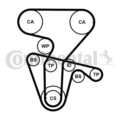 CONTINENTAL CTAM CT877WP4PRO Water Pump & Timing Belt Kit