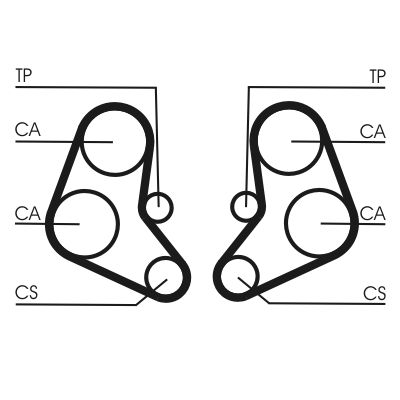 Timing Belt CONTINENTAL CTAM CT886