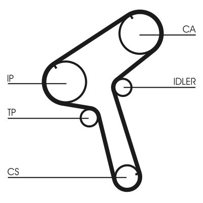 Timing Belt CONTINENTAL CTAM CT897