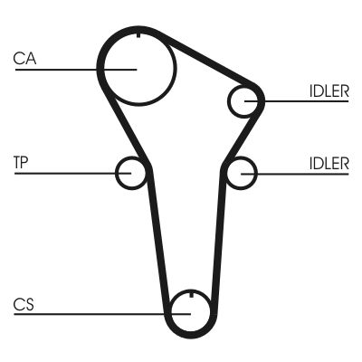 CONTINENTAL CTAM CT899 Timing Belt