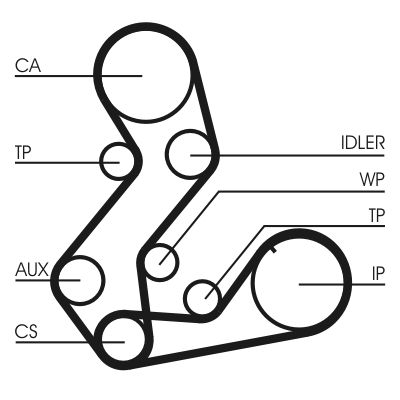 CONTINENTAL CTAM CT901WP1 Water Pump & Timing Belt Kit