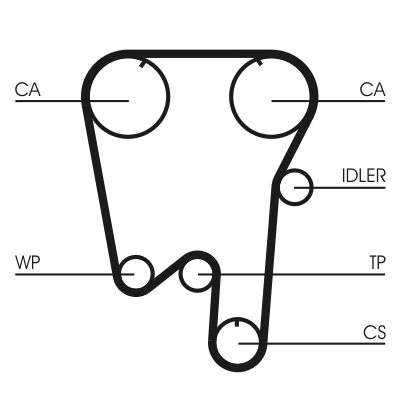 Timing Belt CONTINENTAL CTAM CT902