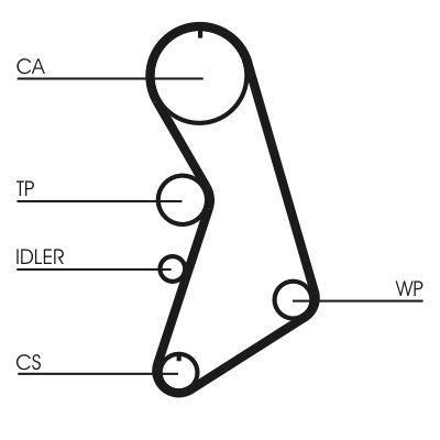 CONTINENTAL CTAM CT909WP5 Water Pump & Timing Belt Kit