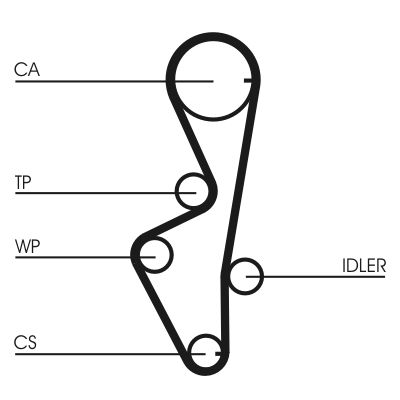 CONTINENTAL CTAM CT916 Timing Belt