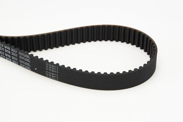 CONTINENTAL CTAM CT919 Timing Belt