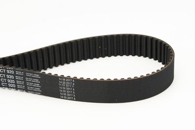 Timing Belt CONTINENTAL CTAM CT920