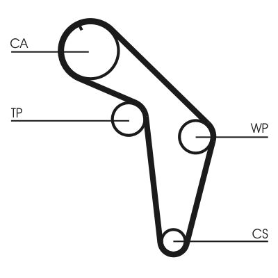 Timing Belt CONTINENTAL CTAM CT926
