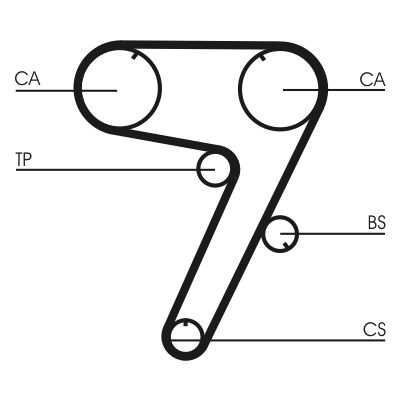 Timing Belt CONTINENTAL CTAM CT931