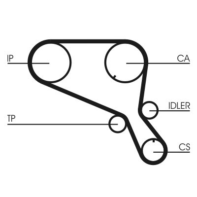 Timing Belt CONTINENTAL CTAM CT952