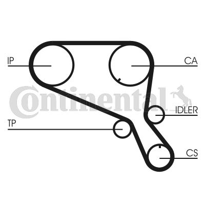 Timing Belt CONTINENTAL CTAM CT953