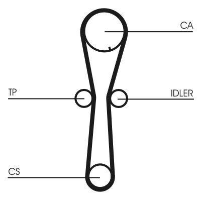 CONTINENTAL CTAM CT954 Timing Belt
