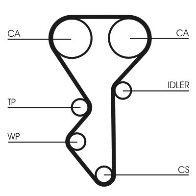 CONTINENTAL CTAM CT955WP1 Water Pump & Timing Belt Kit