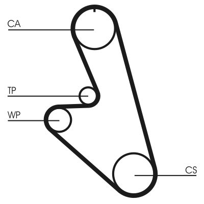 CONTINENTAL CTAM CT959 Timing Belt