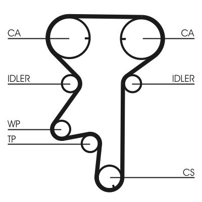 Water Pump & Timing Belt Kit CONTINENTAL CTAM CT975WP2