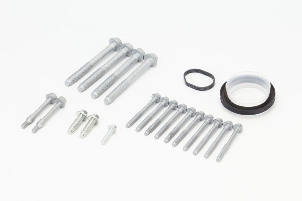 CONTINENTAL CTAM MS54 Screw Kit, timing case