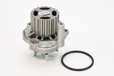 Water Pump, engine cooling CONTINENTAL CTAM WP6006