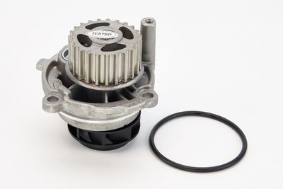 Water Pump, engine cooling CONTINENTAL CTAM WP6010