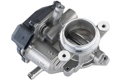 Throttle Body CONTINENTAL/VDO A2C59506484