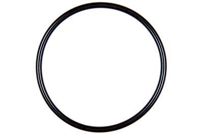 Seal CONTINENTAL/VDO A2C59516938