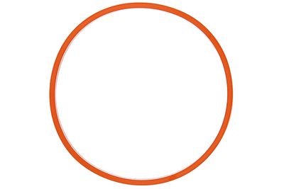 Seal CONTINENTAL/VDO A2C59516948