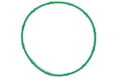 Seal CONTINENTAL/VDO A2C59516955