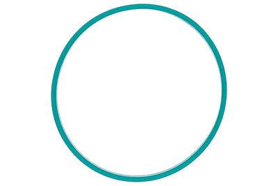 Seal CONTINENTAL/VDO A2C59516956