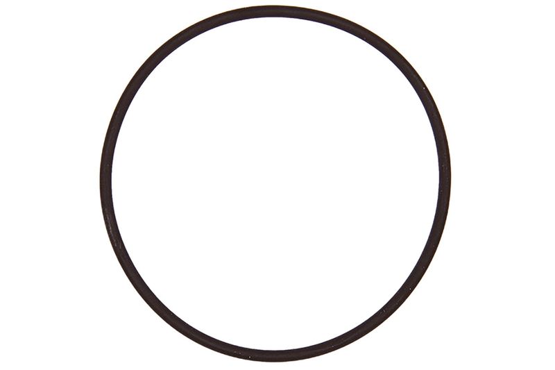 CONTINENTAL/VDO A2C59516960 Seal