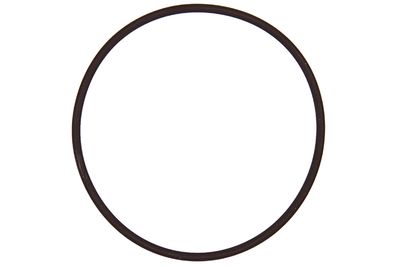 Seal CONTINENTAL/VDO A2C59516960