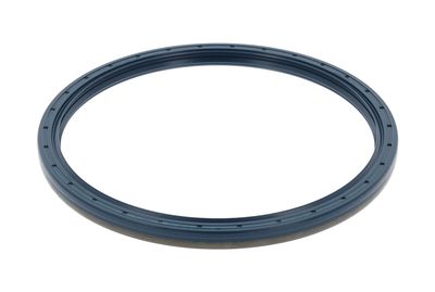 Shaft Seal, differential CORTECO 01019887B