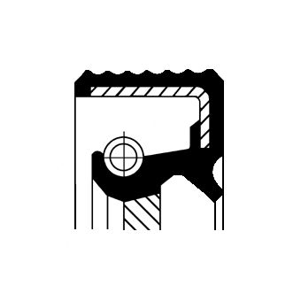 Shaft Seal, crankshaft CORTECO 12019078B